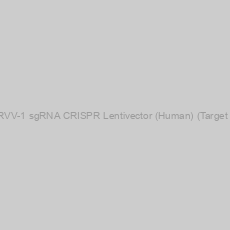 Image of ERVV-1 sgRNA CRISPR Lentivector (Human) (Target 2)